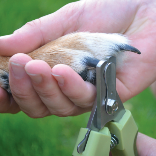 Coupe-griffes pour animaux, Safari