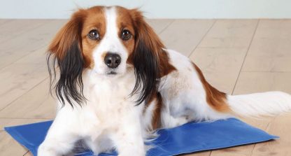 Tapis rafraîchissant pour chien et chat, Trixie